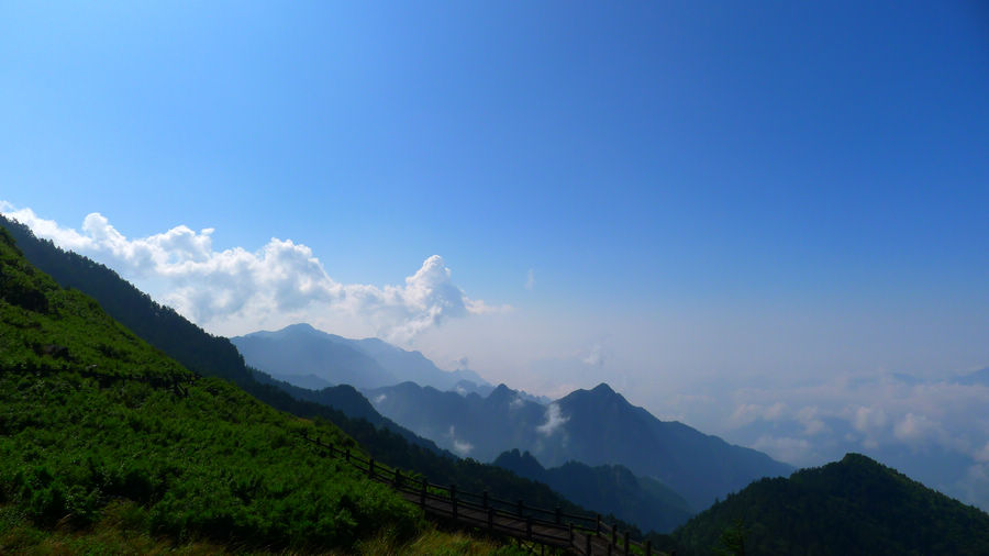 p1010360-1.jpg
