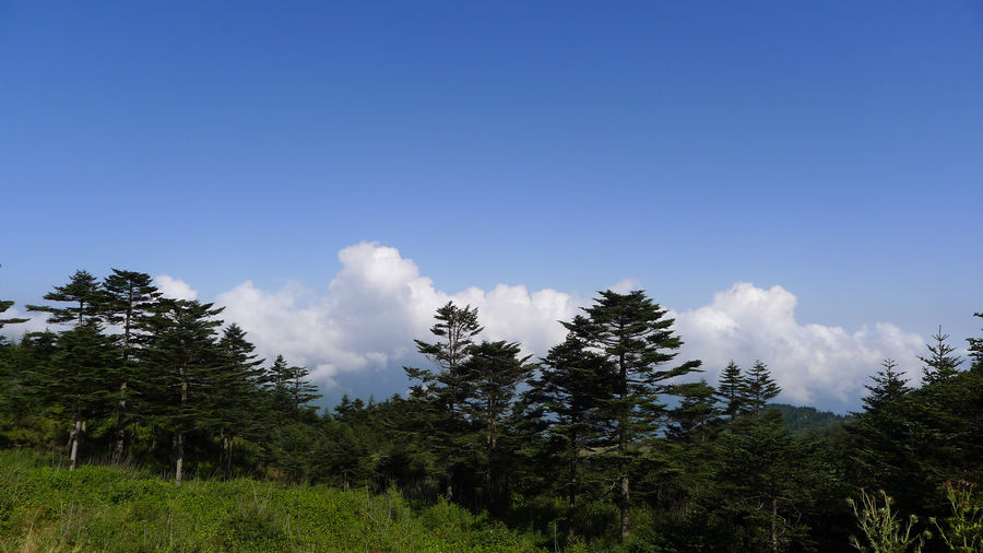 p1010358-1.jpg