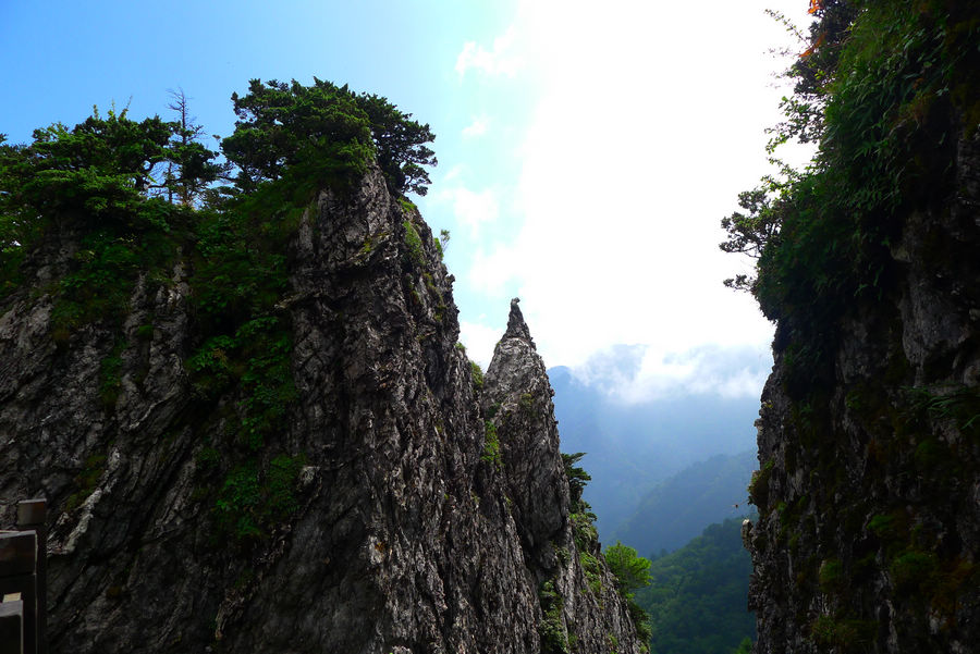 p1010417-1.jpg