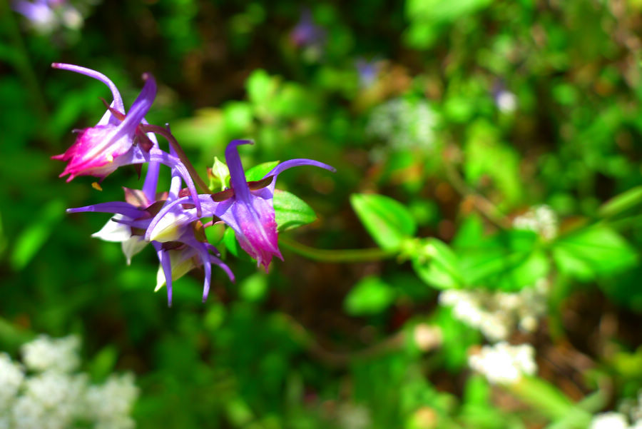 p1010456-1.jpg