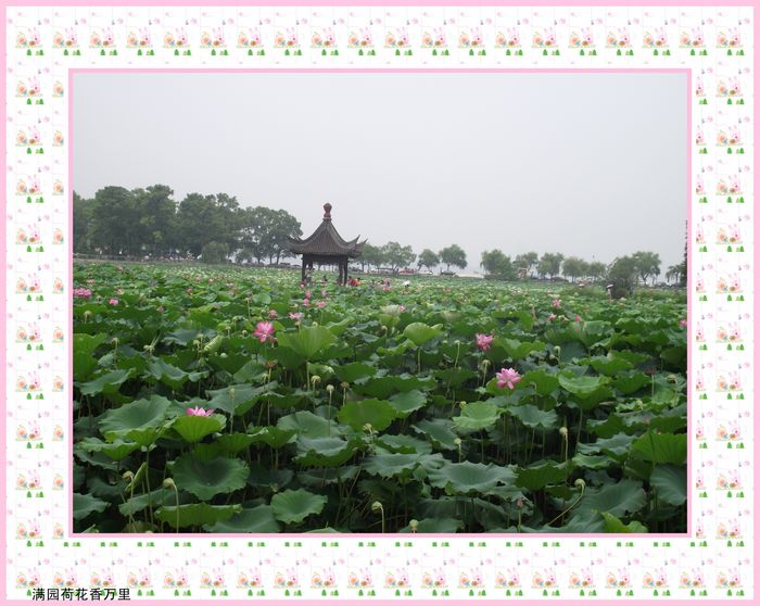 dscf4986_conew1kk.jpg