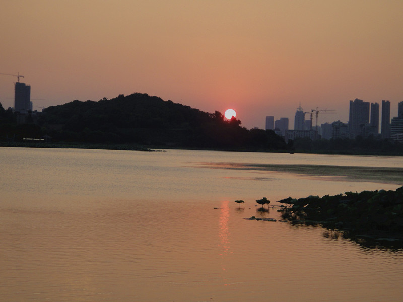 dsc02301_.jpg