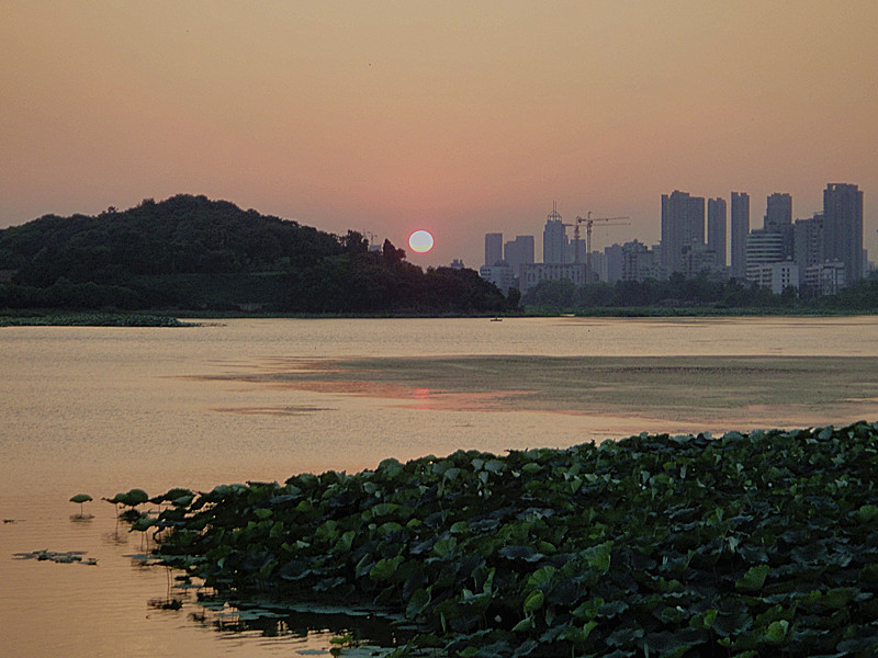 dsc02305_.jpg
