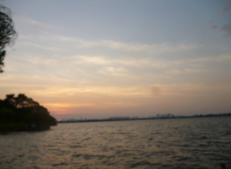 conew_conew_p1060292.jpg