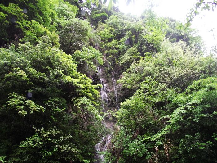 dscf3223.jpg
