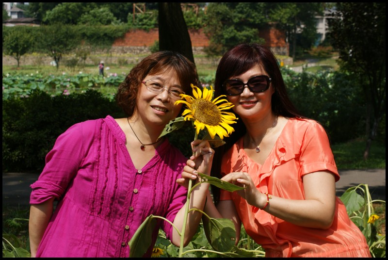 conew_dsc08788.jpg