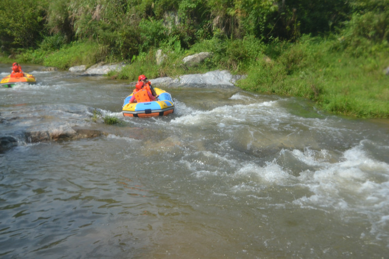dsc_0172.jpg