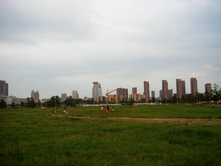 dsc09739.jpg