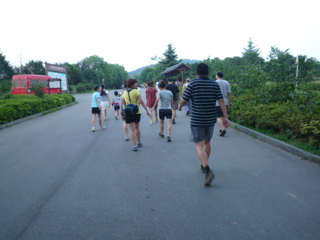p1080469.jpg