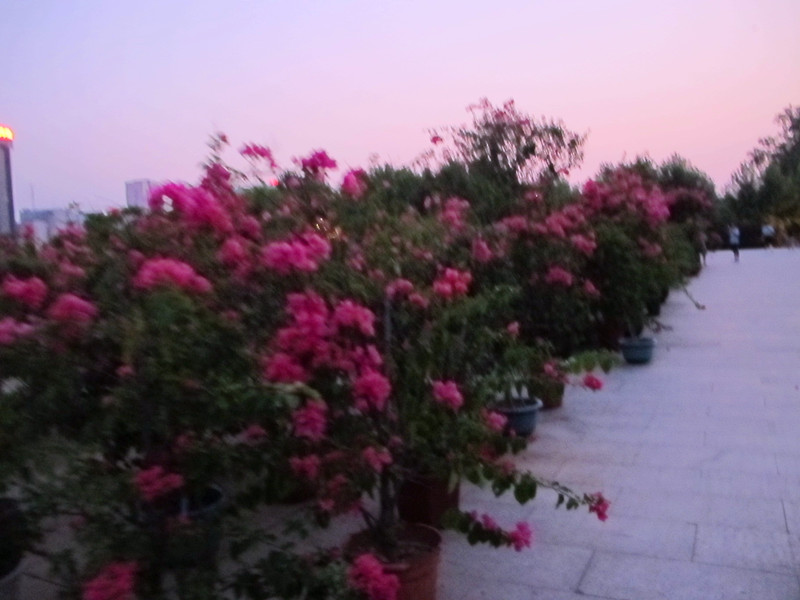 20120807ܶͽ 028_.jpg