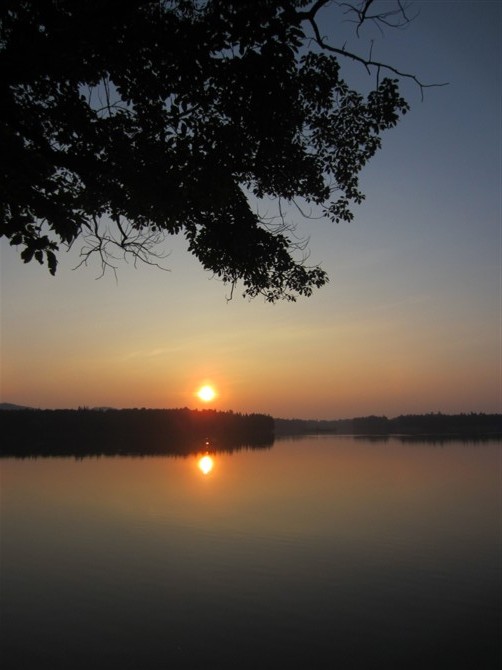 95.jpg