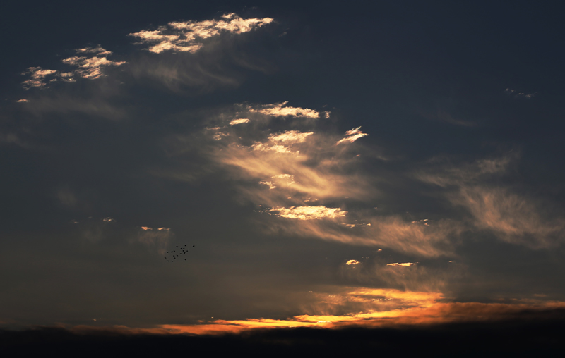 g6u0b7352.jpg