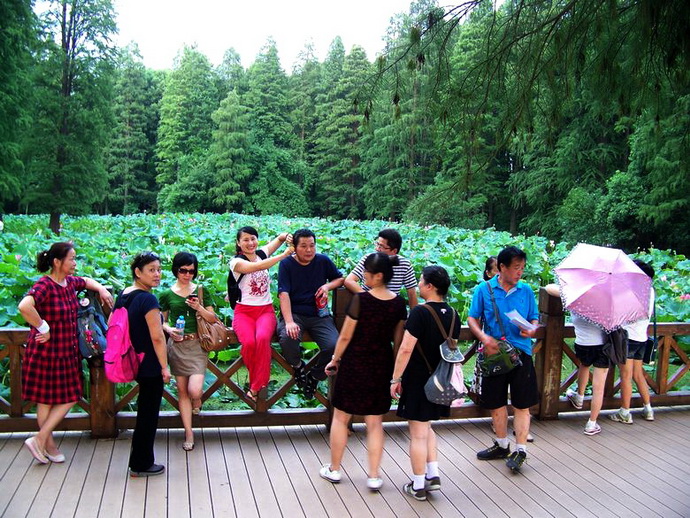 neo_img_100_7469.jpg