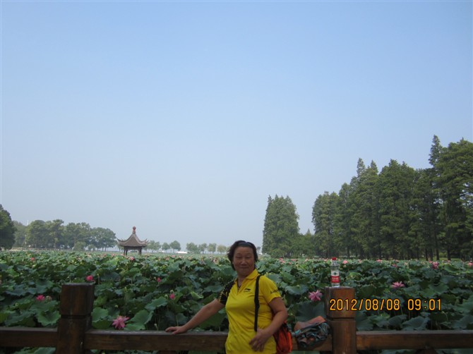 psb10.jpg