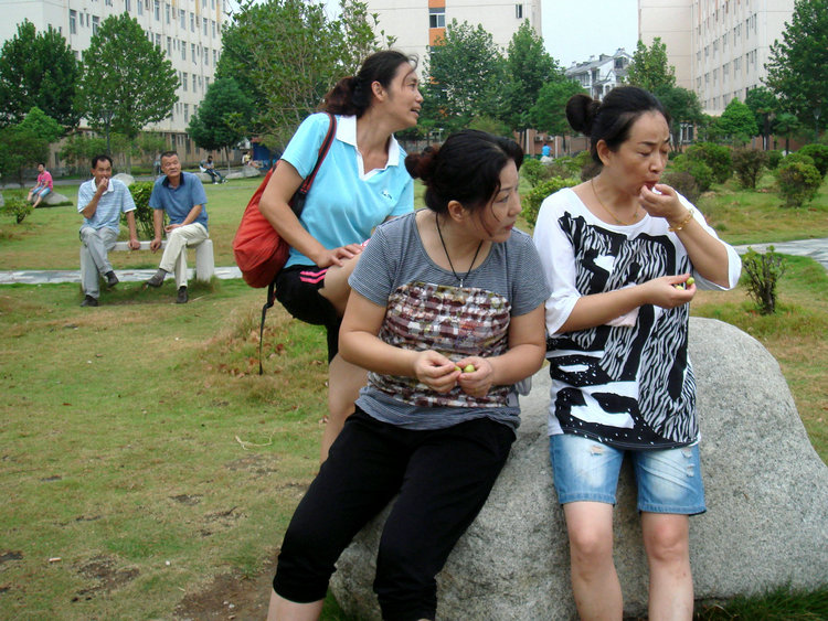 dsc09747.jpg