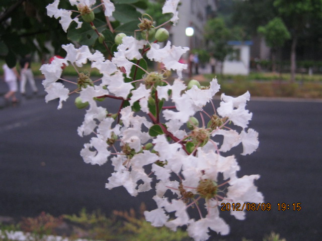 img_6732.jpg