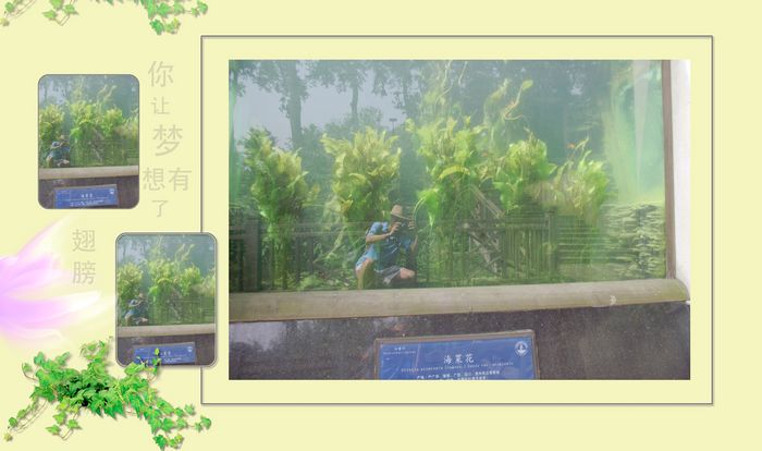 dscf5112_conew1kk.jpg