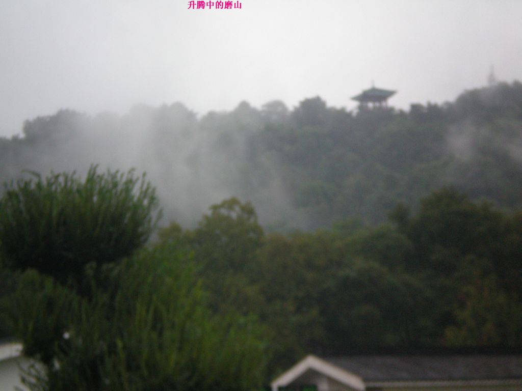 p9090004.jpg