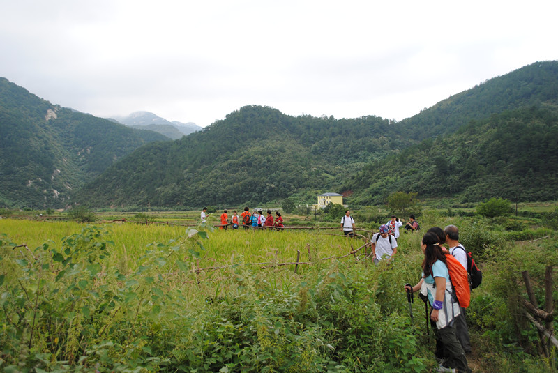 dsc_0295_����.jpg