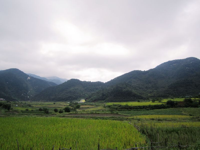 a7.jpg