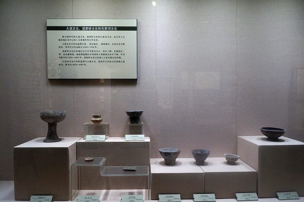 dsc02408.jpg