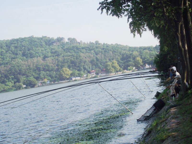 dscf5028kk.jpg