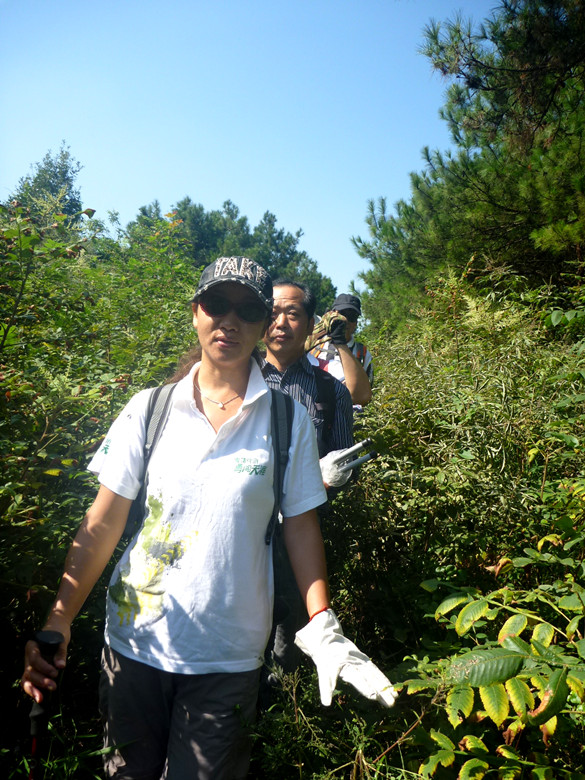 p1120780_.jpg