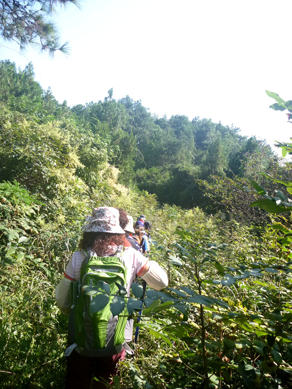 p1120779_.jpg