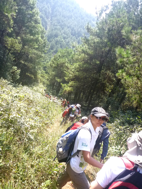 p1120782_.jpg