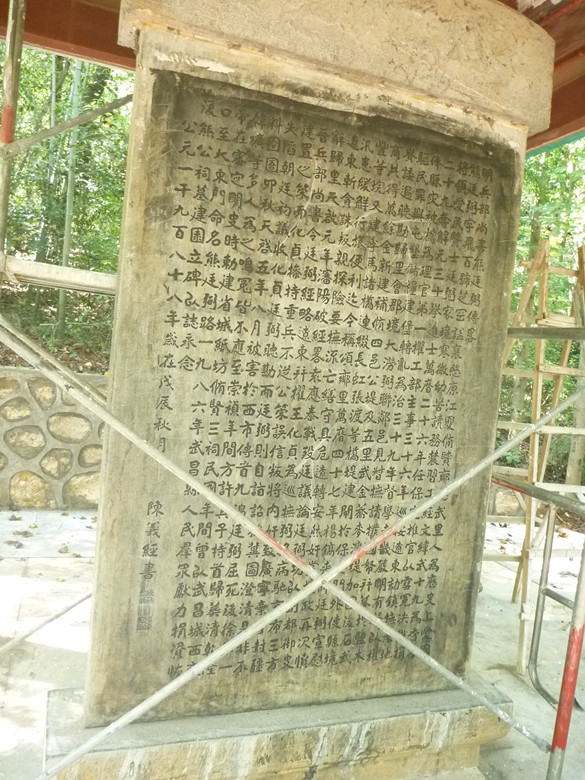 p1120788_.jpg