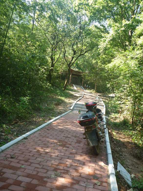 p1120793_.jpg