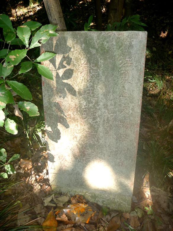 p1120801_.jpg