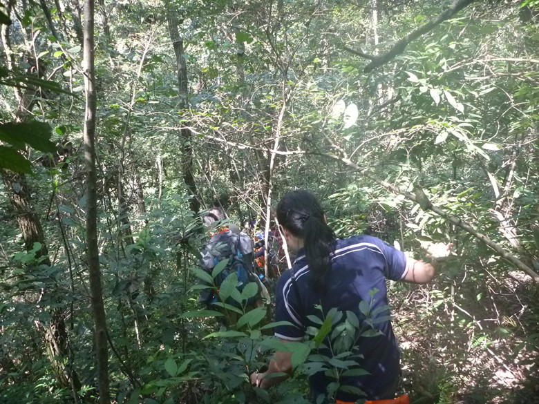 p1120808_.jpg