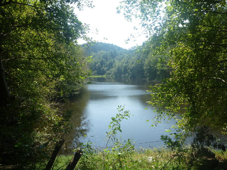p1120818_.jpg
