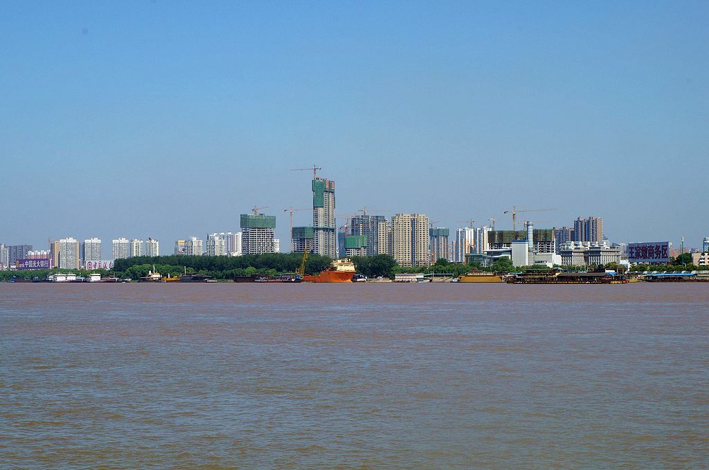 dsc02608.jpg