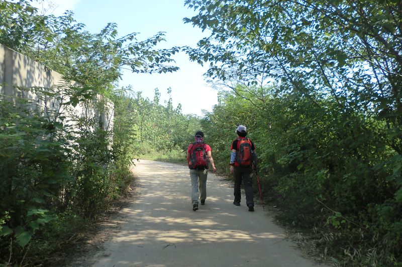 cimg8033.jpg