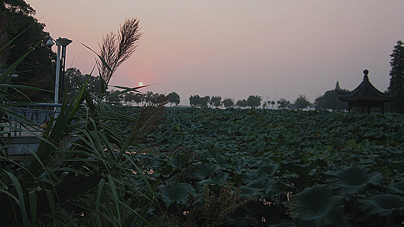 img_6421_1.jpg
