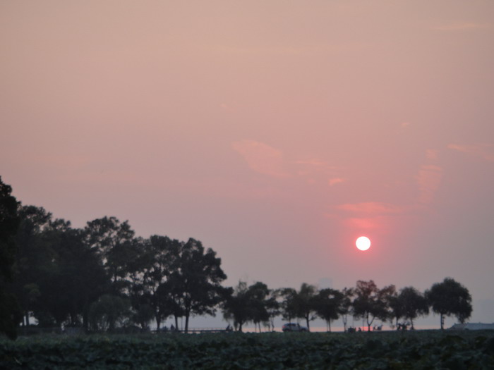 dsc04252.jpg