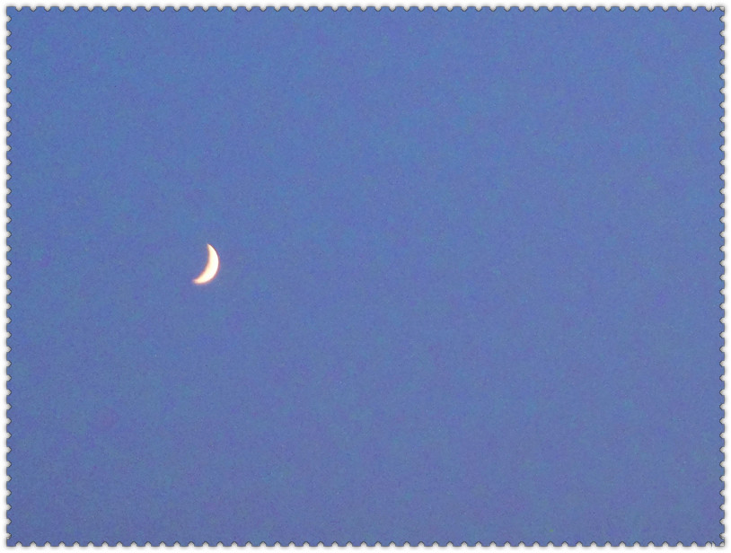 dsc03425_.jpg