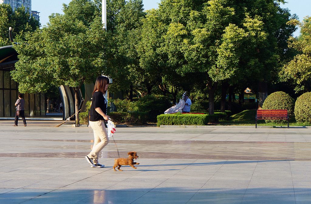 dsc02917.jpg