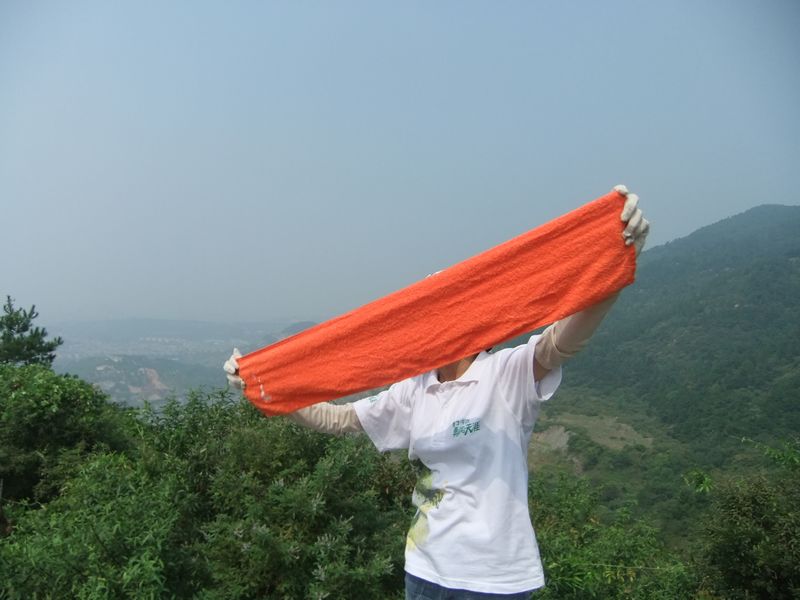 dscf9641.jpg