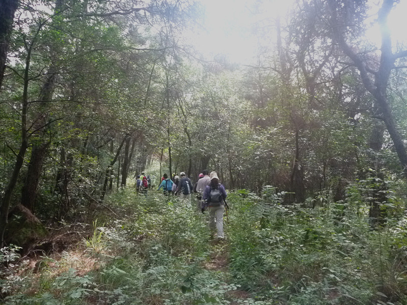 p1120828_.jpg