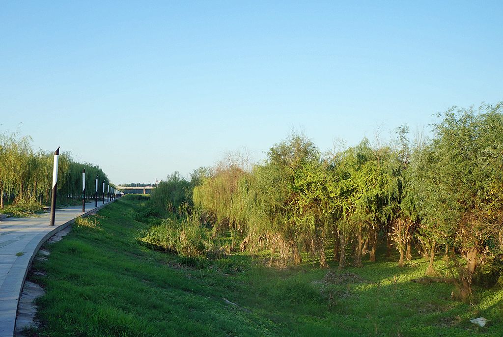 dsc02987.jpg