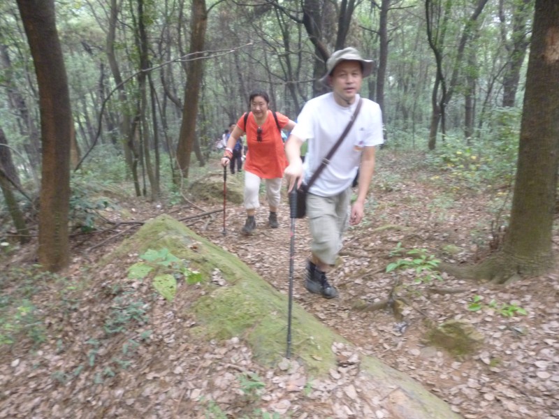 conew_p1070211.jpg