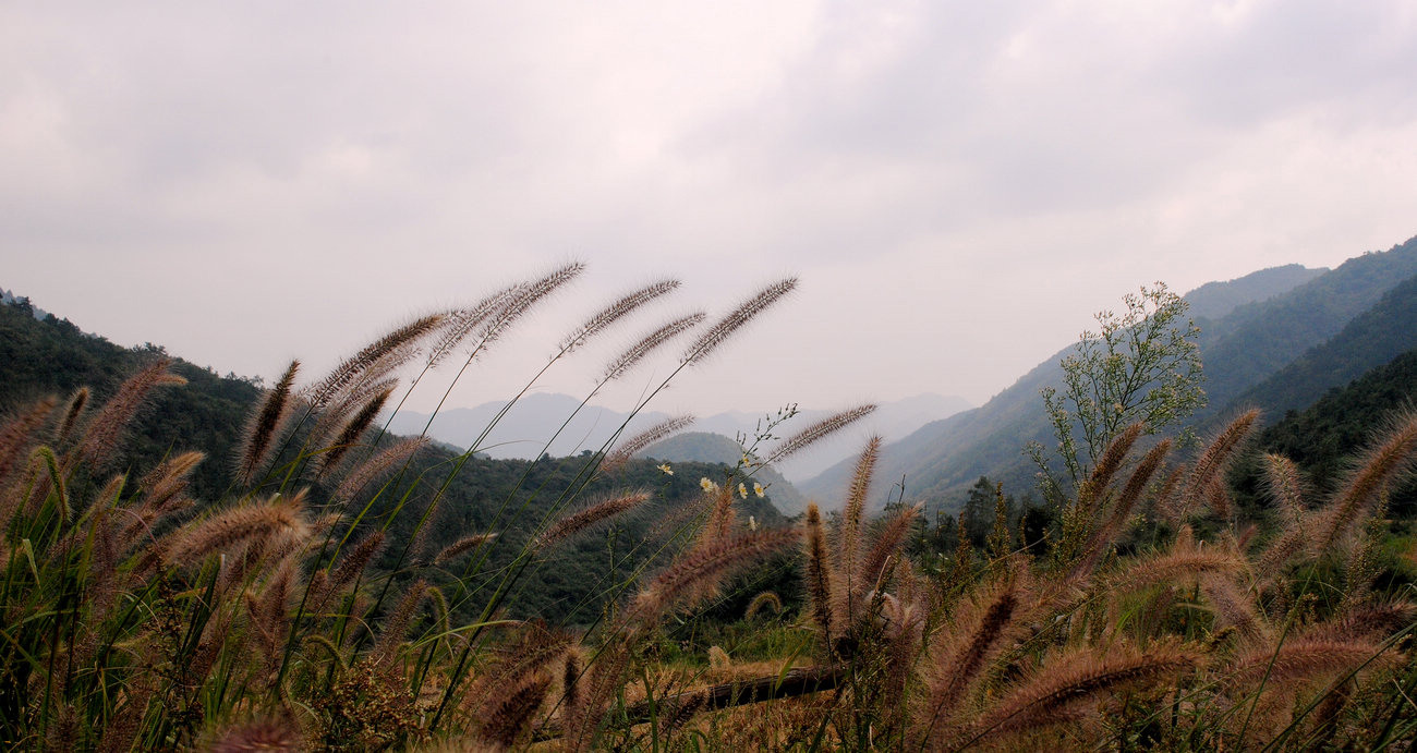dsc_03731.jpg