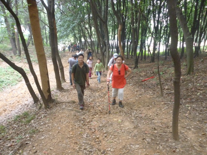 conew_p1070197.jpg