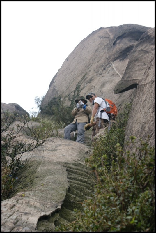 conew_dsc02664.jpg