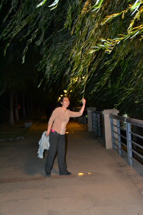 11 095_conew1.jpg