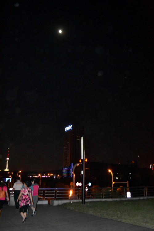 11 069_conew1.jpg