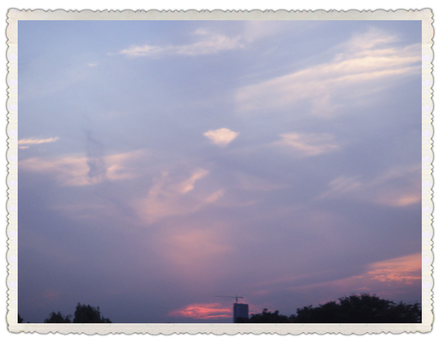 dsc03009_.jpg